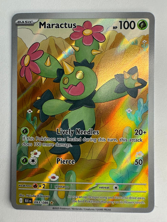 ENG - Maractus (BLK 093) Schwarze Blitze